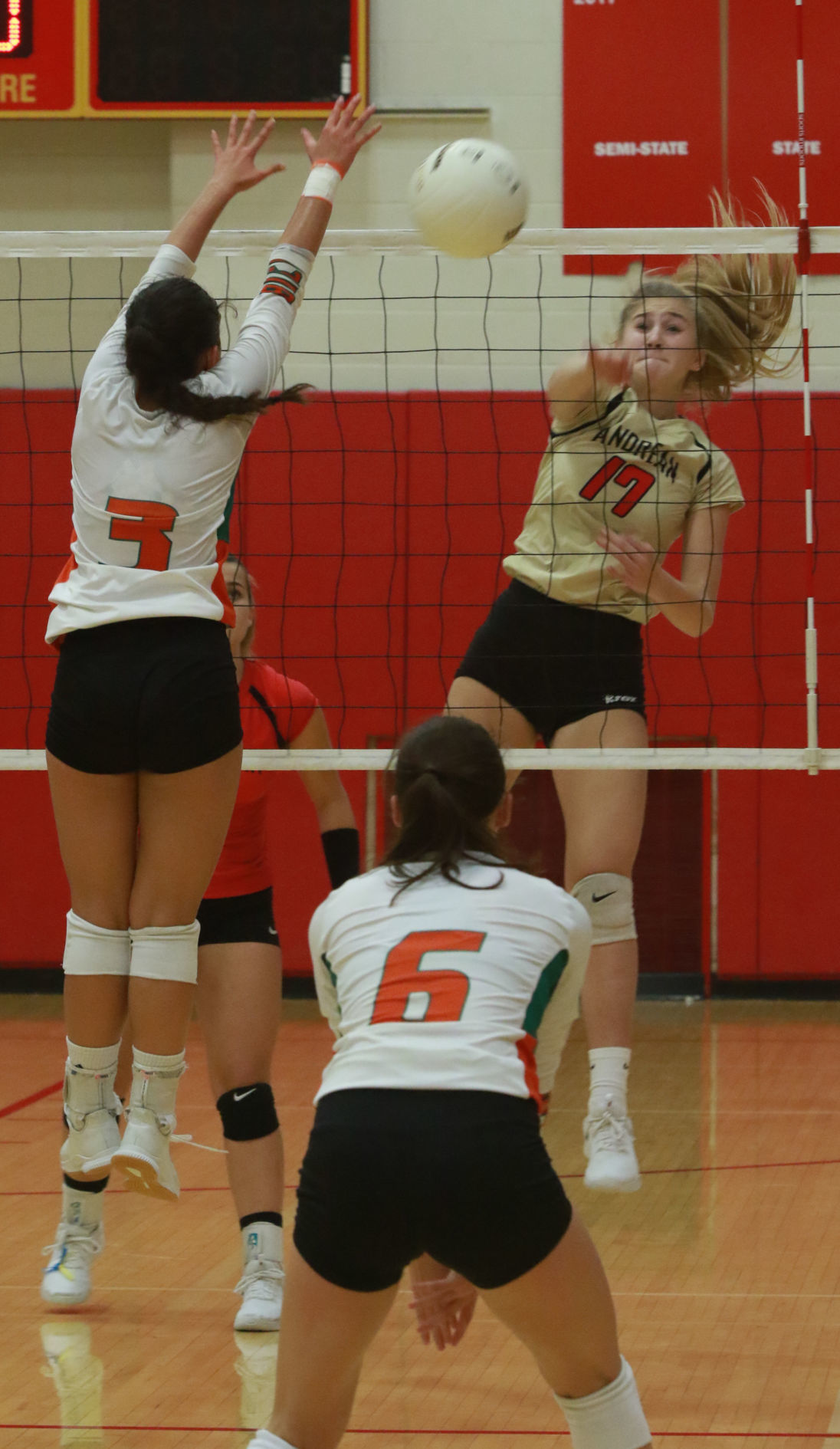 Girls volleyball - Wheeler at Andrean